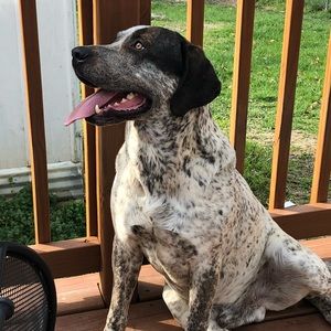 Meet your Posher, Chatney